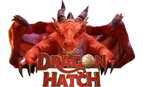 Dragon Hatch